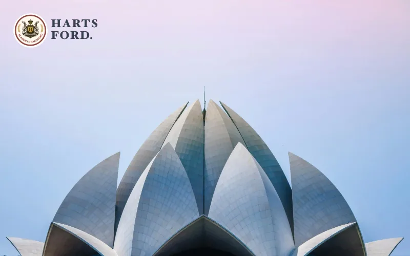 India Market: Strategies for Resilience